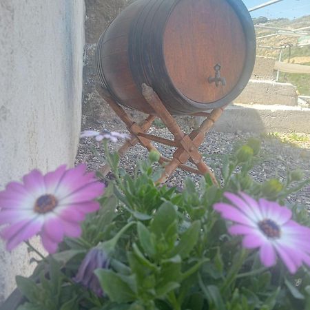 فيلا Casita Rural Y Casa Cueva El Perucho غيمار المظهر الخارجي الصورة