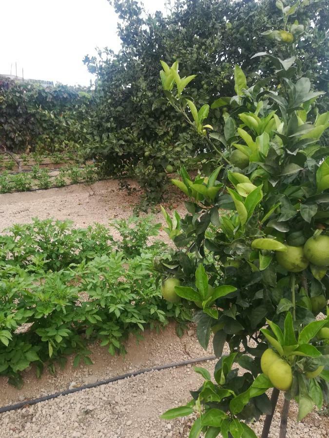فيلا Casita Rural Y Casa Cueva El Perucho غيمار المظهر الخارجي الصورة